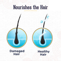 The Complete Onion Hair Care Kit: Nourish, Strengthen, and Revitalize Your Hair | Anti-Hair Fall Spa Kit